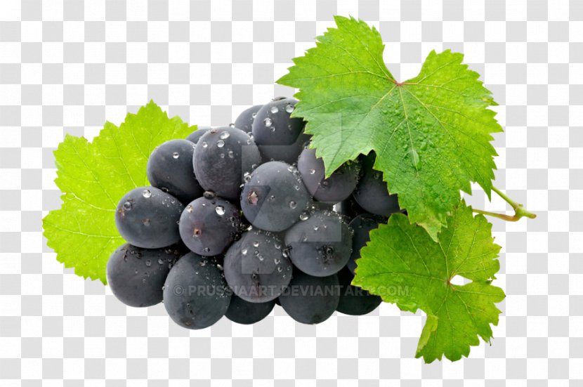 Juice Wine Grape Fruit Organic Food - Zante Currant Transparent PNG