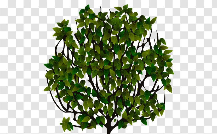 Sprite Shrub 2D Computer Graphics Tree - Houseplant - Bushes Top View Transparent PNG