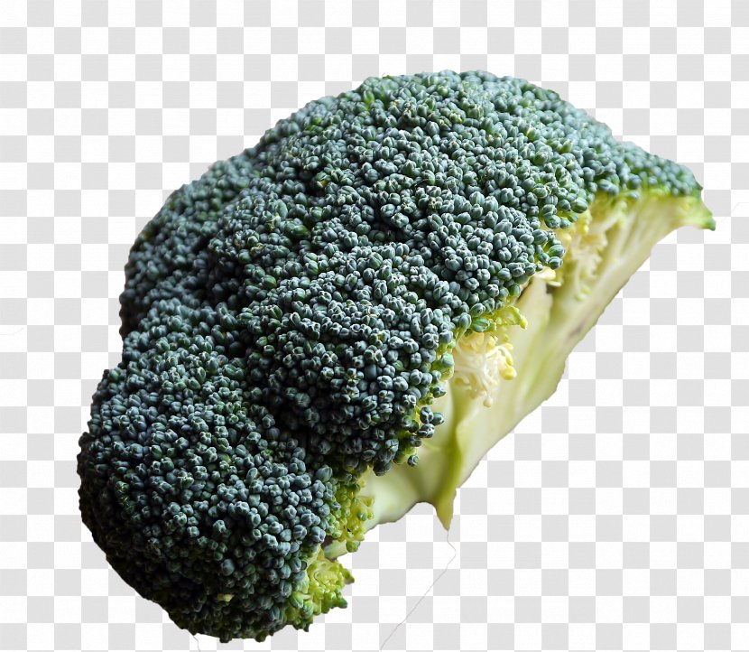 Broccoli Vegetable Food Ingredient Recipe - Eating - Cut In Half Transparent PNG