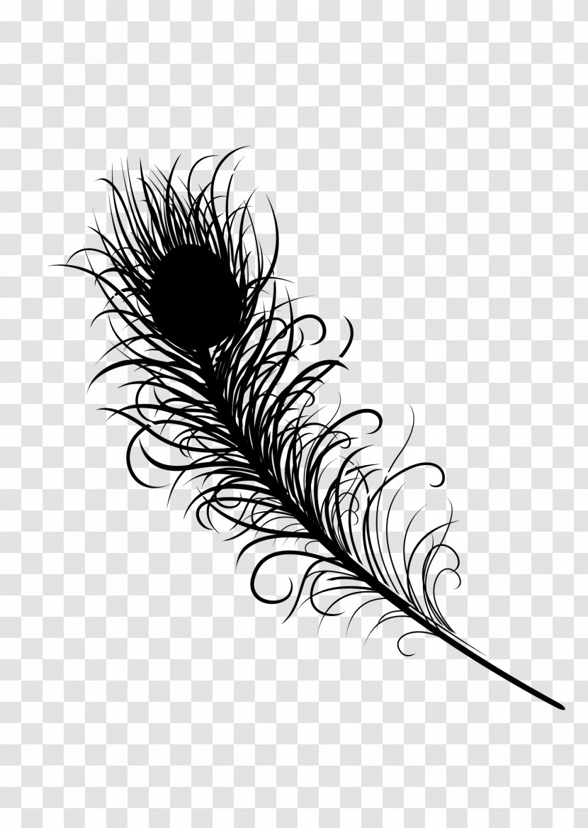 Feather Line - Quill - Eyelash Transparent PNG