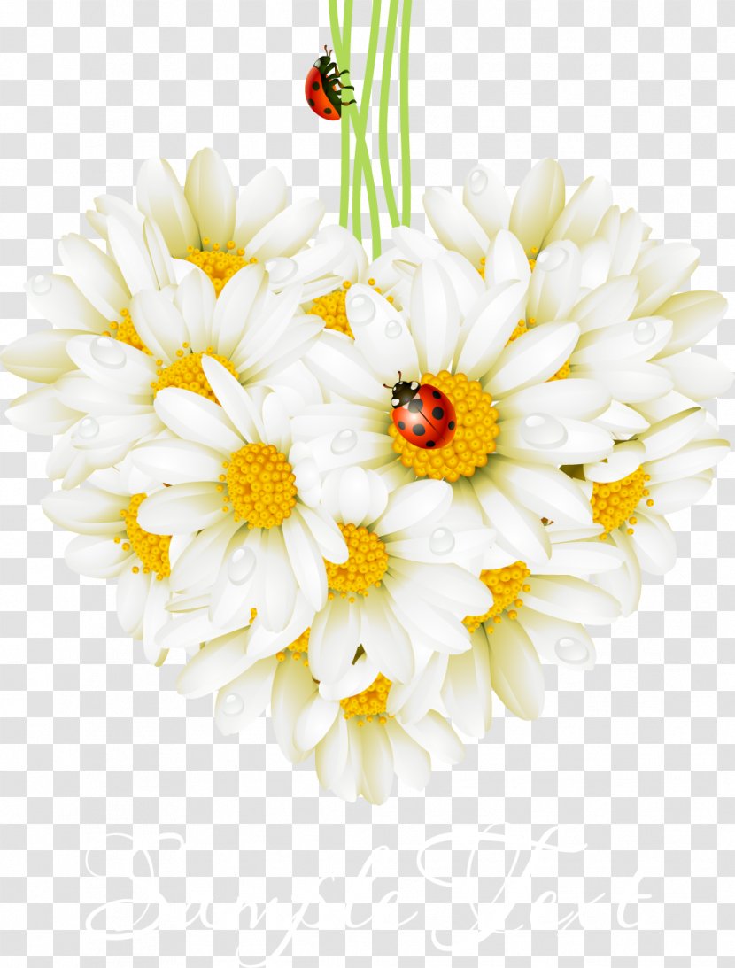 Valentines Day Love Greeting Card Holiday Birthday - Flower Bouquet - Beautifully Realistic Daisy Beetle Transparent PNG