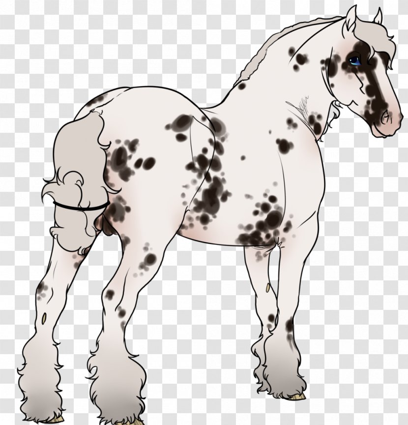 Mule Foal Mustang Stallion Colt - Horse Tack Transparent PNG