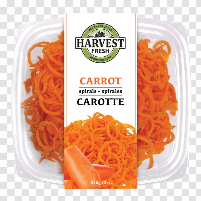 Bucatini Capellini Spaghetti Pici Shirataki Noodles - Ingredient - Carrot Watercolor Transparent PNG