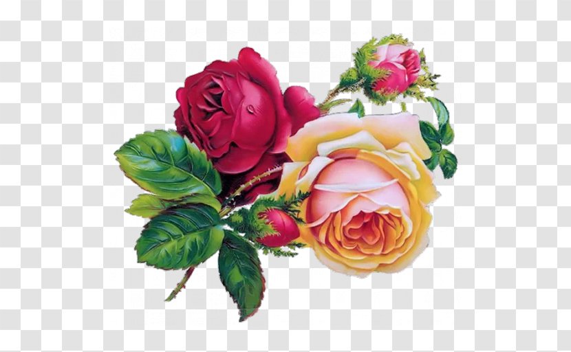 Floral Design Flower Drawings Rose Transparent PNG