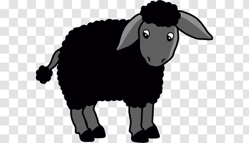 Black Sheep Goat Coloring Book Child - Horn Transparent PNG
