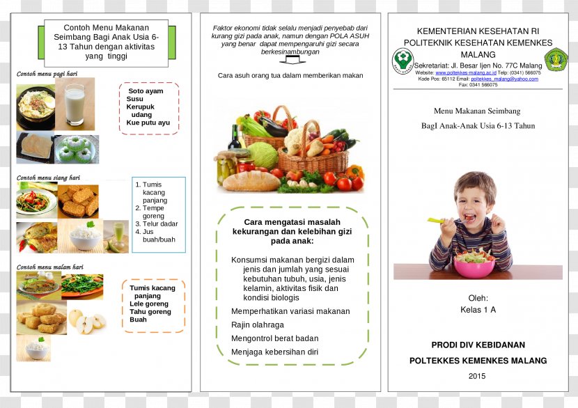 Food Pyramid Health Pamphlet Folded Leaflet Transparent PNG