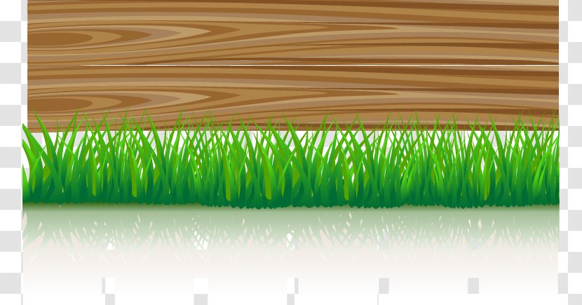 Download Wood - Grass Family - Abstract Transparent PNG