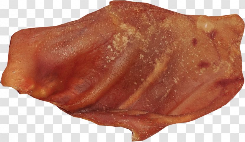 Back Bacon Bayonne Ham Pig's Ear - Tree Transparent PNG