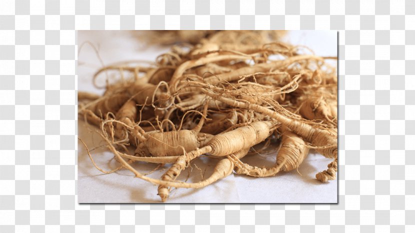 Asian Ginseng American Dietary Supplement Pharmaceutical Drug Erectile Dysfunction - Ingredient - Health Transparent PNG