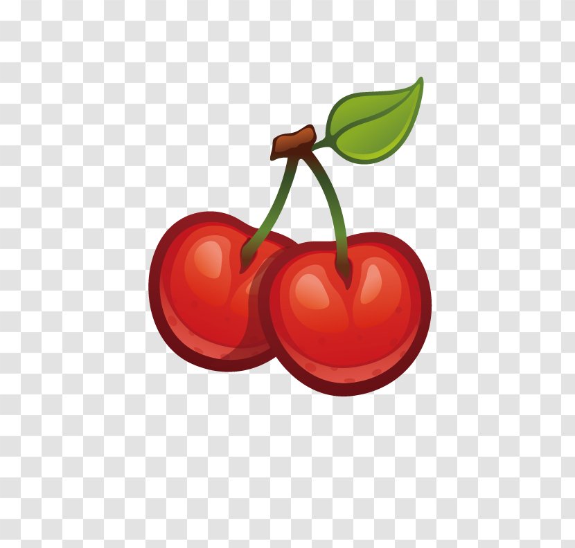 Cherry Fruit Cerasus Berry - Plant - Delicious Apple Transparent PNG