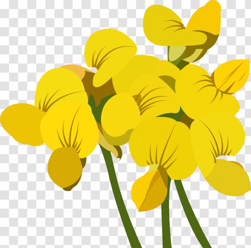 Floral Design Cut Flowers Plant Stem Violet - Yellow Transparent PNG