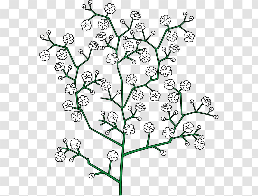 Showy Baby's-breath Floral Design Royalty-free Clip Art - Symmetry - Flower Transparent PNG