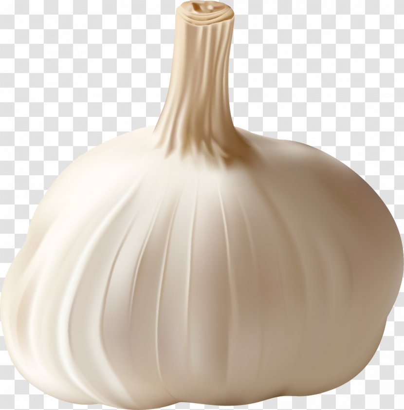 Garlic Food Allium Fistulosum Vegetable - Crop Transparent PNG