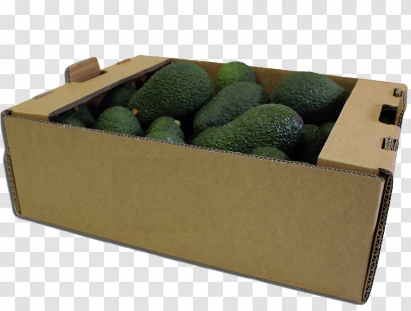 Marketing Production Alpasa Farms S De RL CV - Avocado Transparent PNG