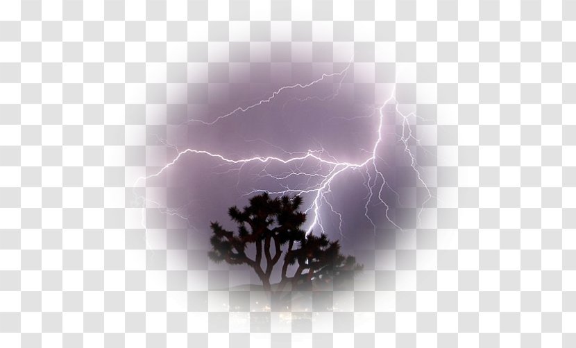 Lightning Thunderstorm Sky Rain Transparent PNG