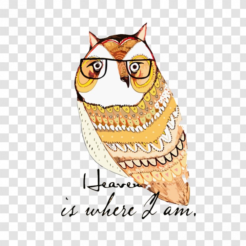 Owl Drawing Art Illustration - Beak - Creative Transparent PNG