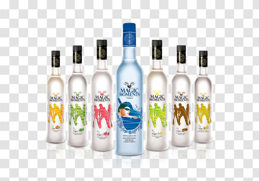 Vodka Grey Goose India Distilled Beverage Luksusowa - Alcoholic - Shots Transparent PNG