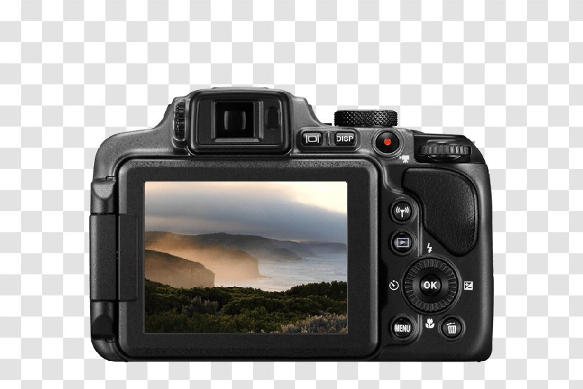 Nikon D750 Point-and-shoot Camera Bridge - Digital Slr Transparent PNG