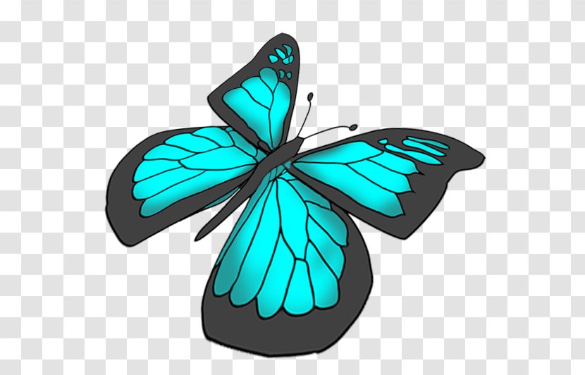Swallowtail Butterfly Ulysses Drawing Clip Art - Blue Transparent PNG