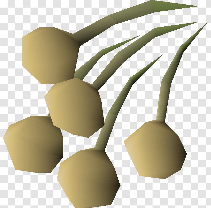 Old School RuneScape Onion Seed Transparent PNG