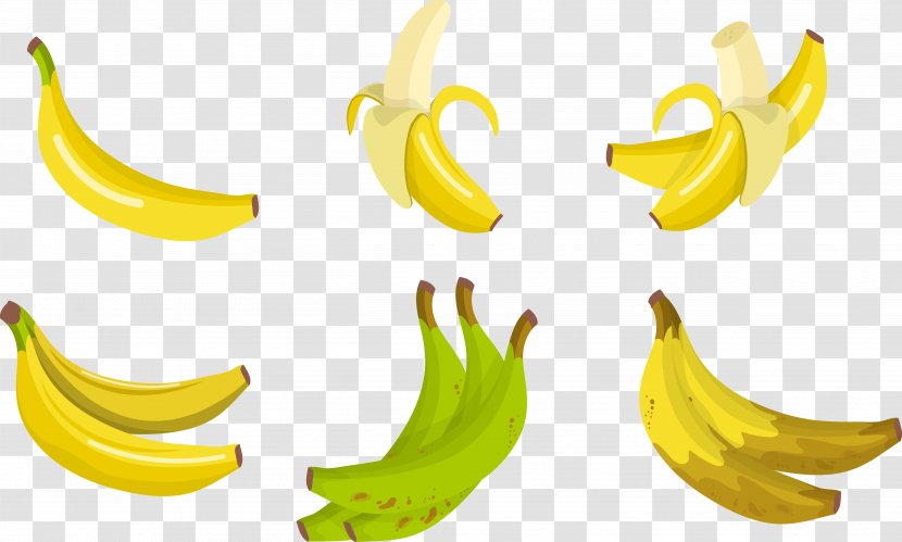 Banana Painting - Family - Painted Transparent PNG