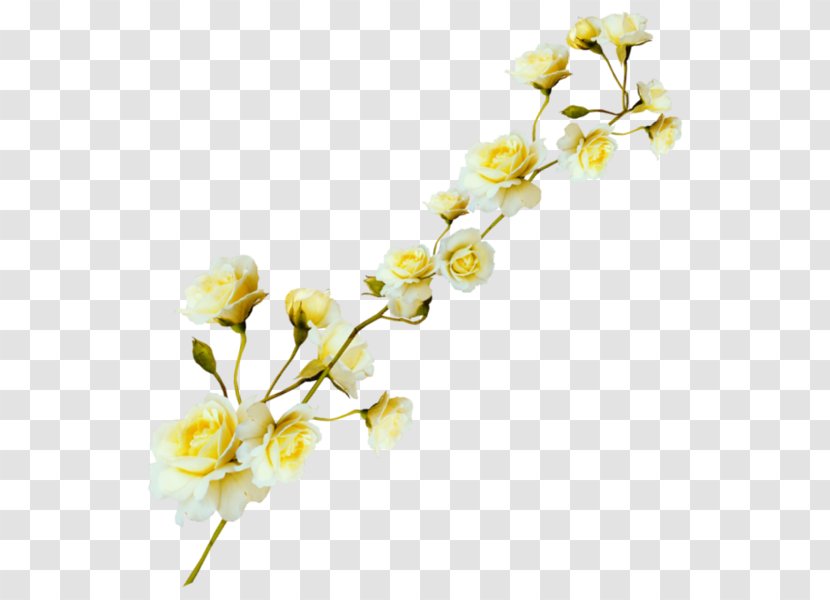Yellow Floral Design Flower Transparent PNG