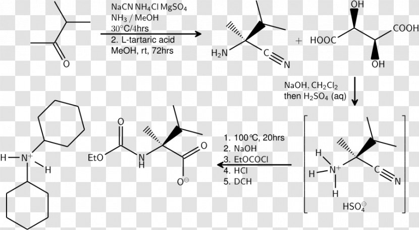 Strecker Amino Acid Synthesis Chemical Reaction Chemist - Monochrome Transparent PNG