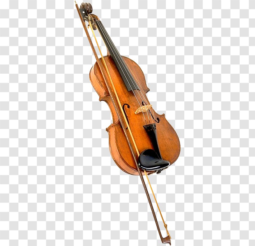 Bass Violin Violone Viola Double - Violist Transparent PNG