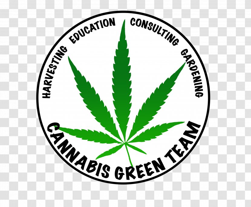 Medical Cannabis Hemp Canadian Summit Scottsdale Natural Healing - Physician Transparent PNG