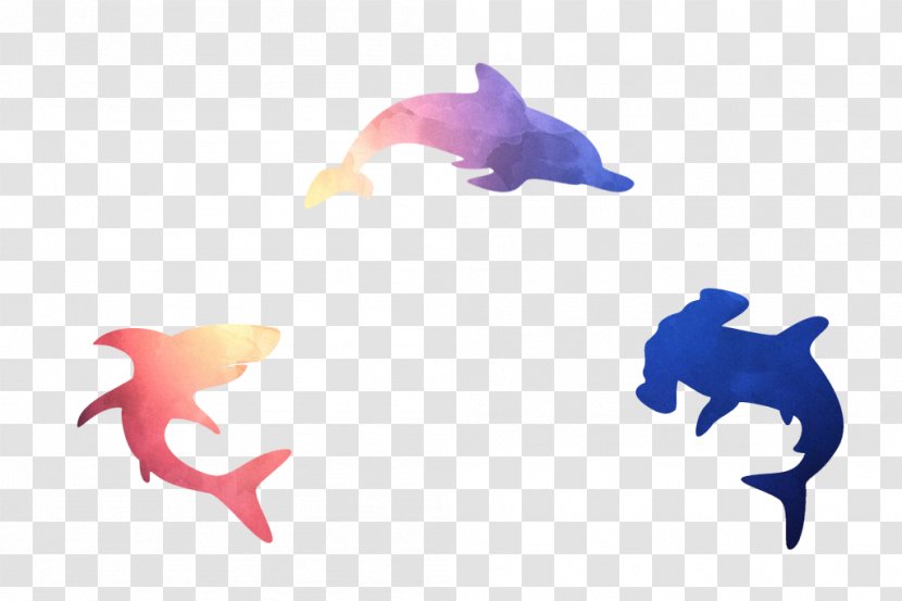Fish Whale Euclidean Vector - Organism - Hand Painted Material Transparent PNG