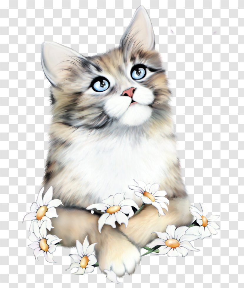 Cat Image Kitten Clip Art Birthday - World Day Transparent PNG