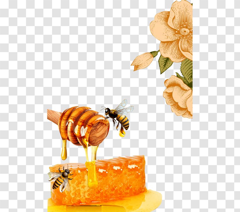 Honey Bee Honeycomb Beeswax - Bees Transparent PNG