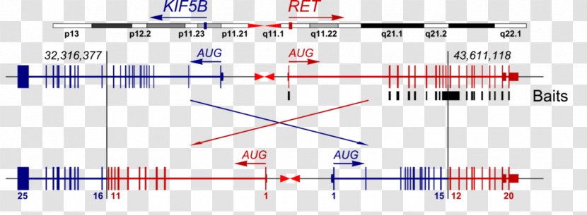 Line Point Angle Document - Plot Transparent PNG