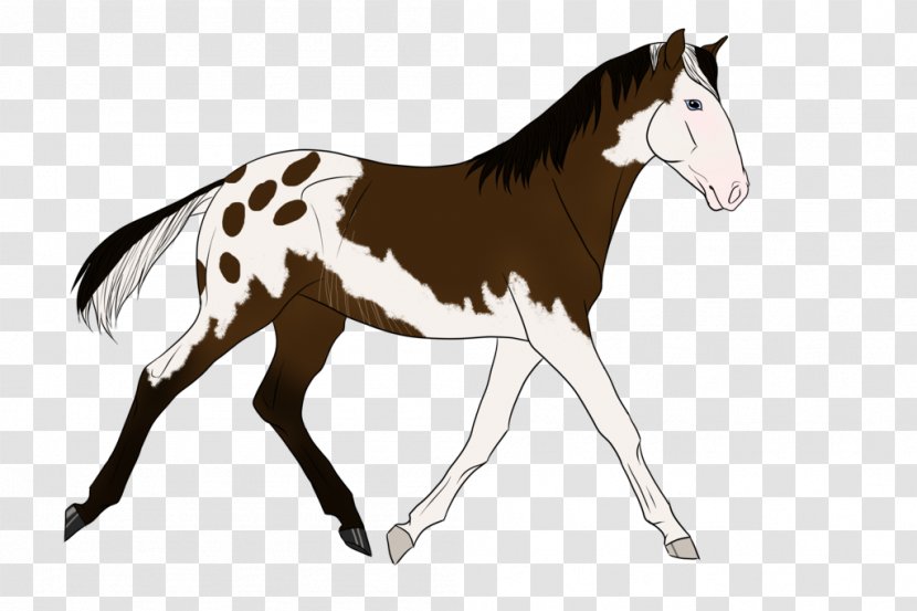 Mustang Foal Stallion Colt Mare Transparent PNG