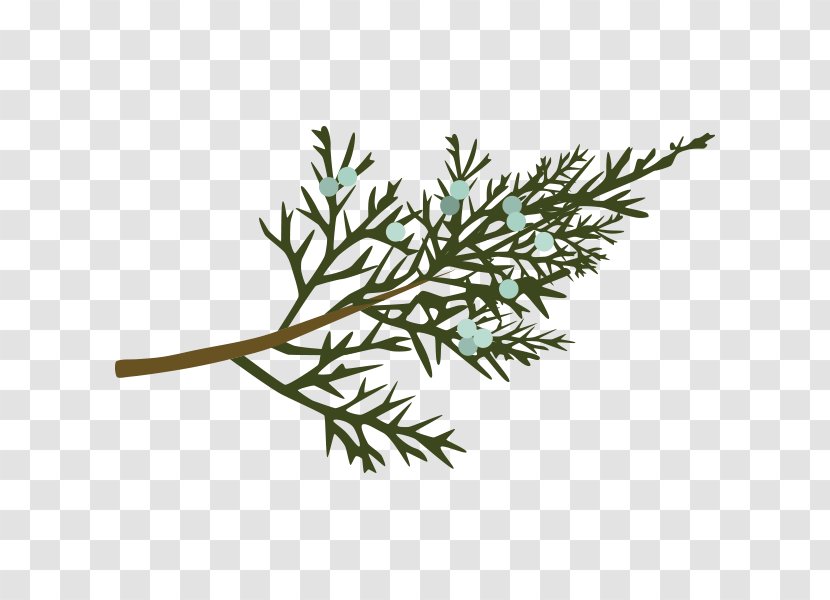 Dinosaur Planet Twig Tree Leaf Sweetgum - Plant Transparent PNG