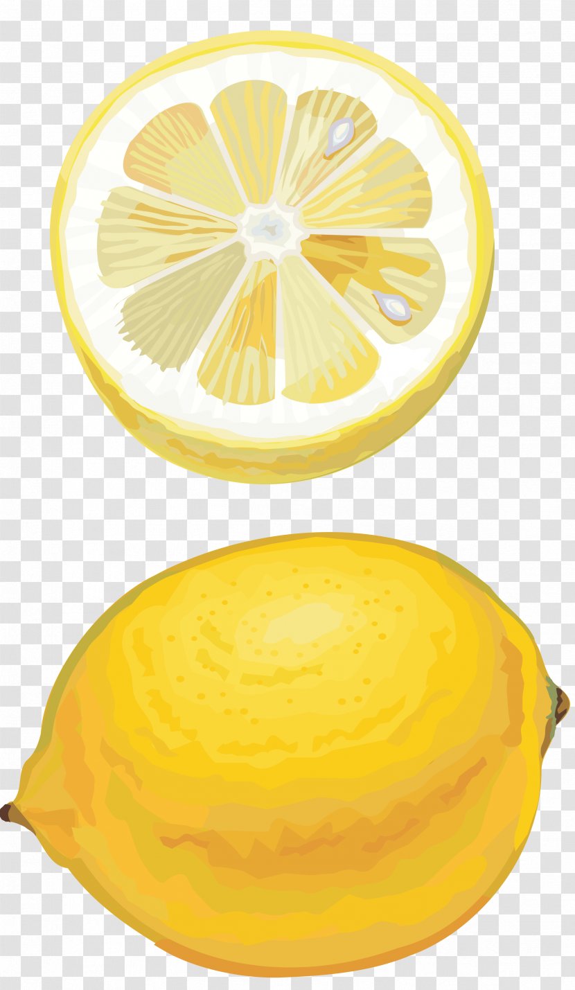 Lemon Citron Orange Citric Acid Lime - Food Transparent PNG