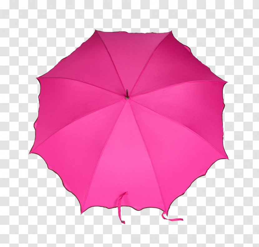Umbrella Auringonvarjo Textile - Frame - Rainy Day Common Transparent PNG