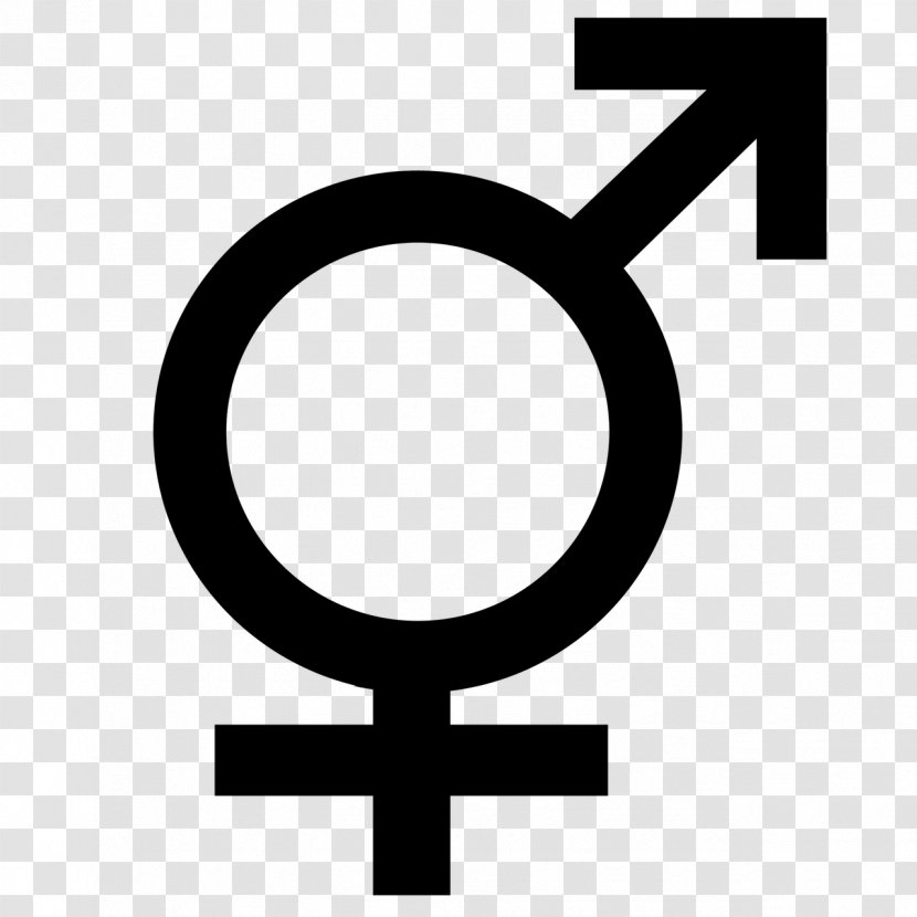 Gender Symbol Female Sign - 22 Transparent PNG