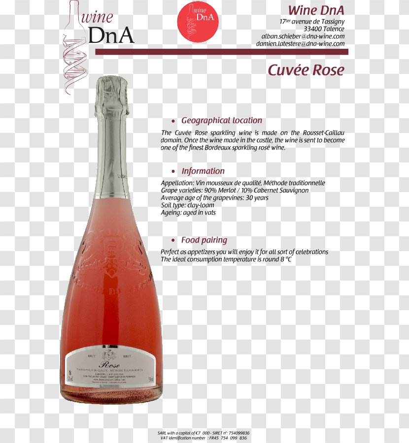 Champagne Bordeaux Wine Rosé Inseec Business School Transparent PNG