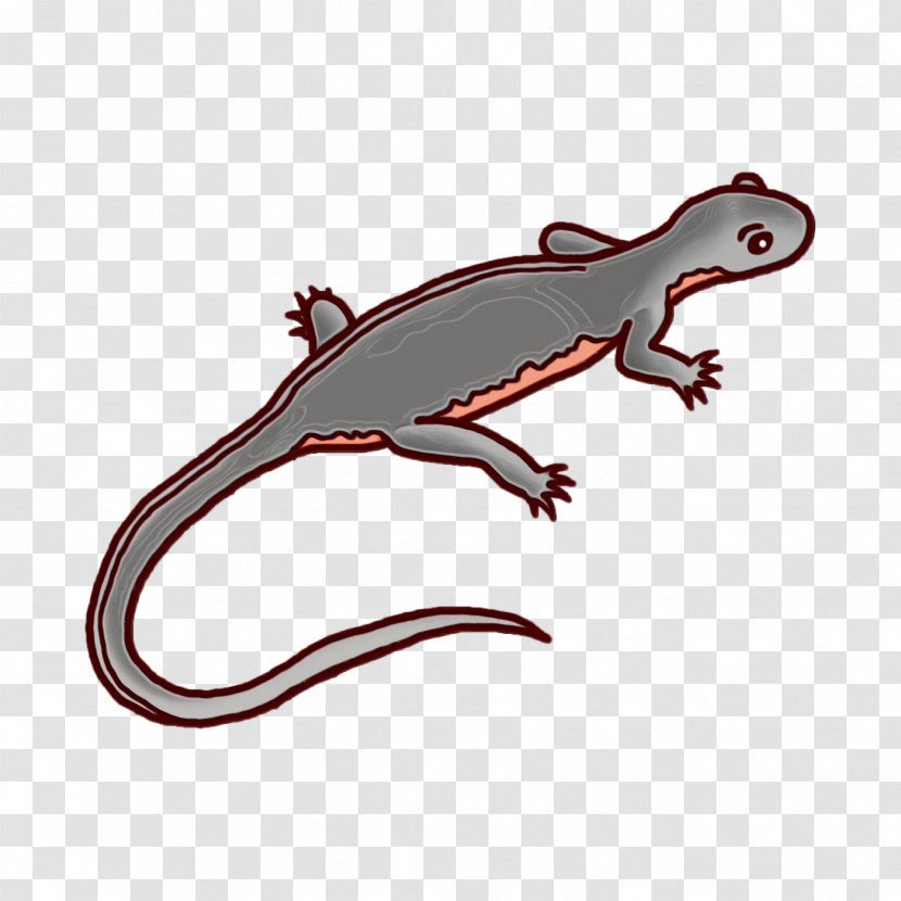 Gecko Amphibians Lizard Biology Science Transparent PNG