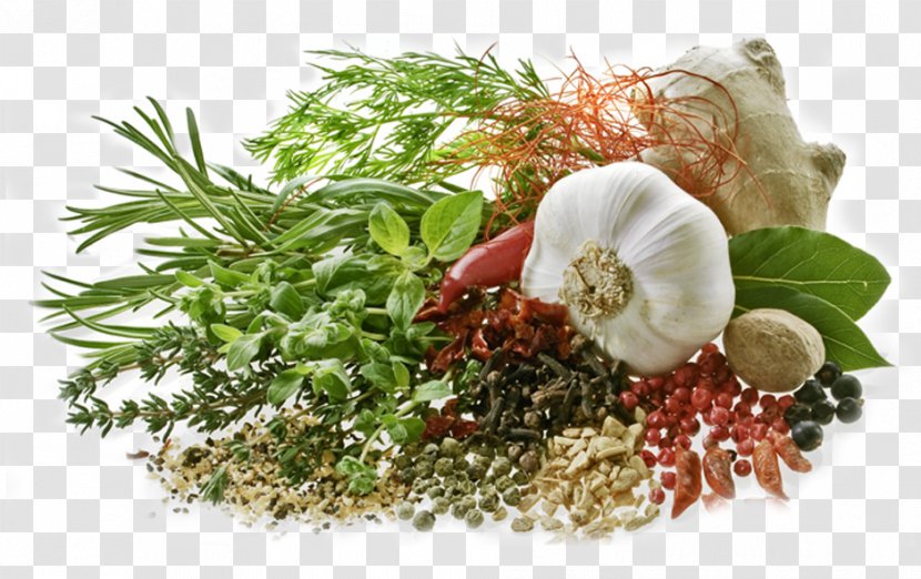 Organic Food Herb Nutrition Spice - Spices Transparent PNG