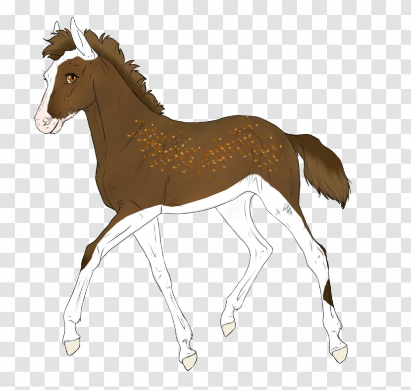 Mule Foal Mustang Stallion Colt - Saddle - Class Of 2018 Flyer Transparent PNG