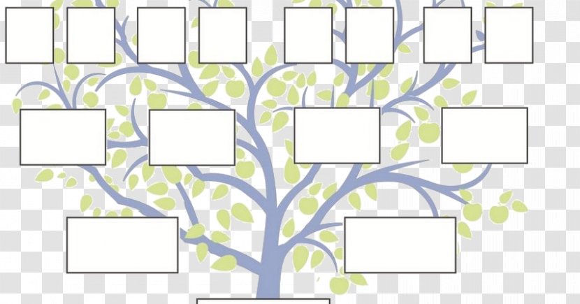 Family Tree Stepfamily Genealogy Extended - Symmetry Transparent PNG