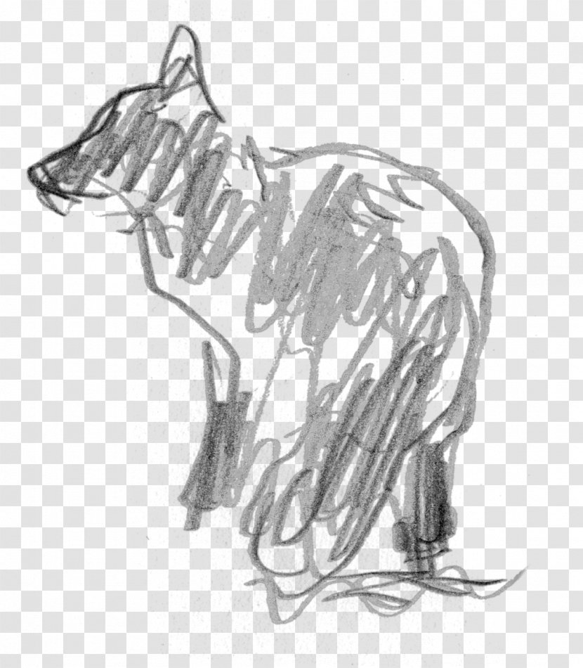 Cat Dog Mammal Sketch Transparent PNG