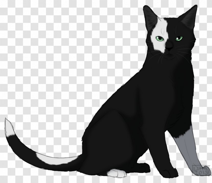Bombay Cat Black American Wirehair Domestic Short-haired Whiskers - Fictional Character - Lithe Transparent PNG