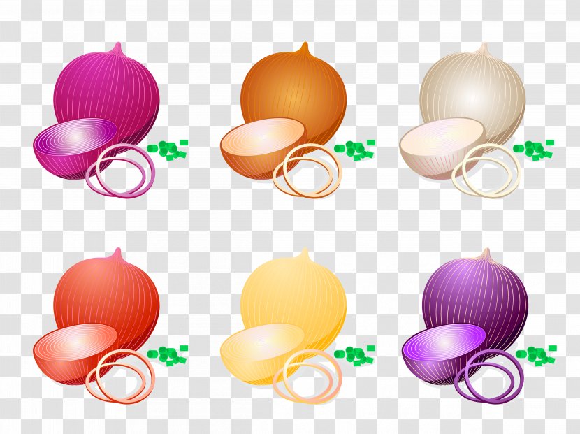 White Onion Clip Art - Easter Egg - Organic Healthy Fresh Vegetarian Transparent PNG