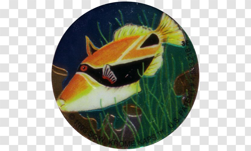 Fauna Fish - Organism - The Milk Transparent PNG