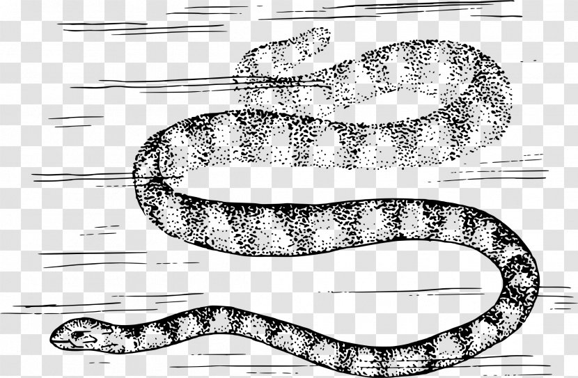 Rattlesnake Vipers Boa Constrictor Clip Art - Snake - Clipart Transparent PNG