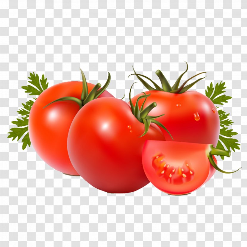 Roma Tomato Vegetable Beefsteak Fruit Food - Eating Transparent PNG