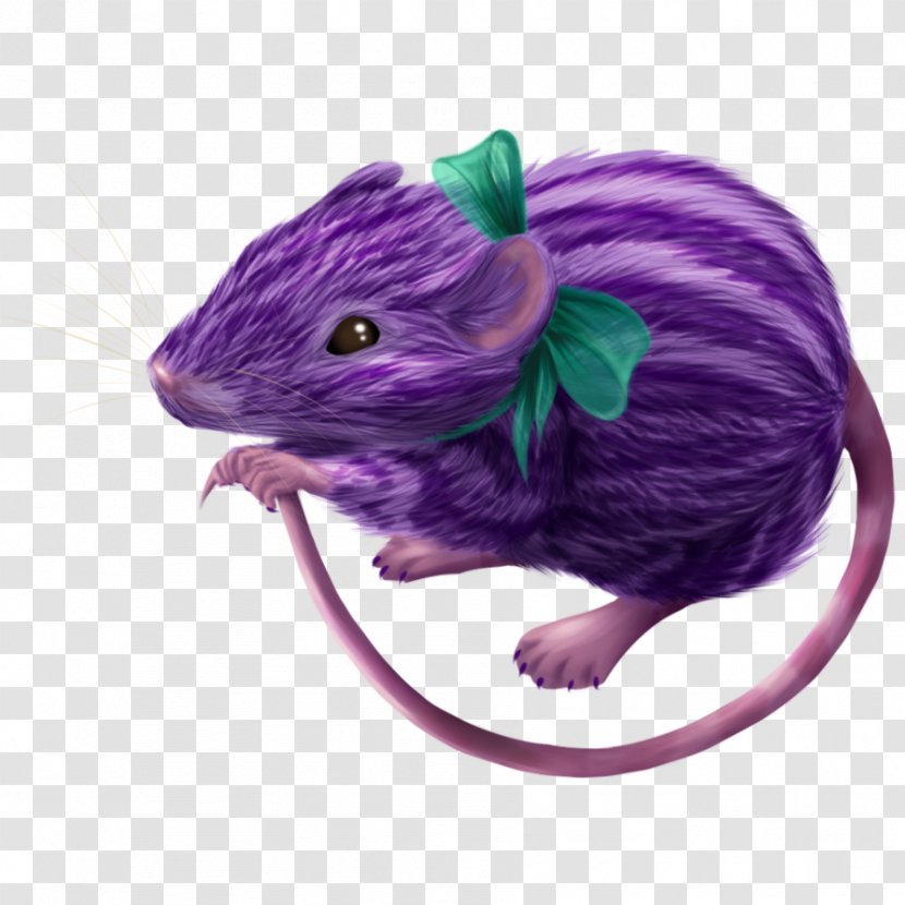 Rat Gerbil Computer Mouse Transparent PNG